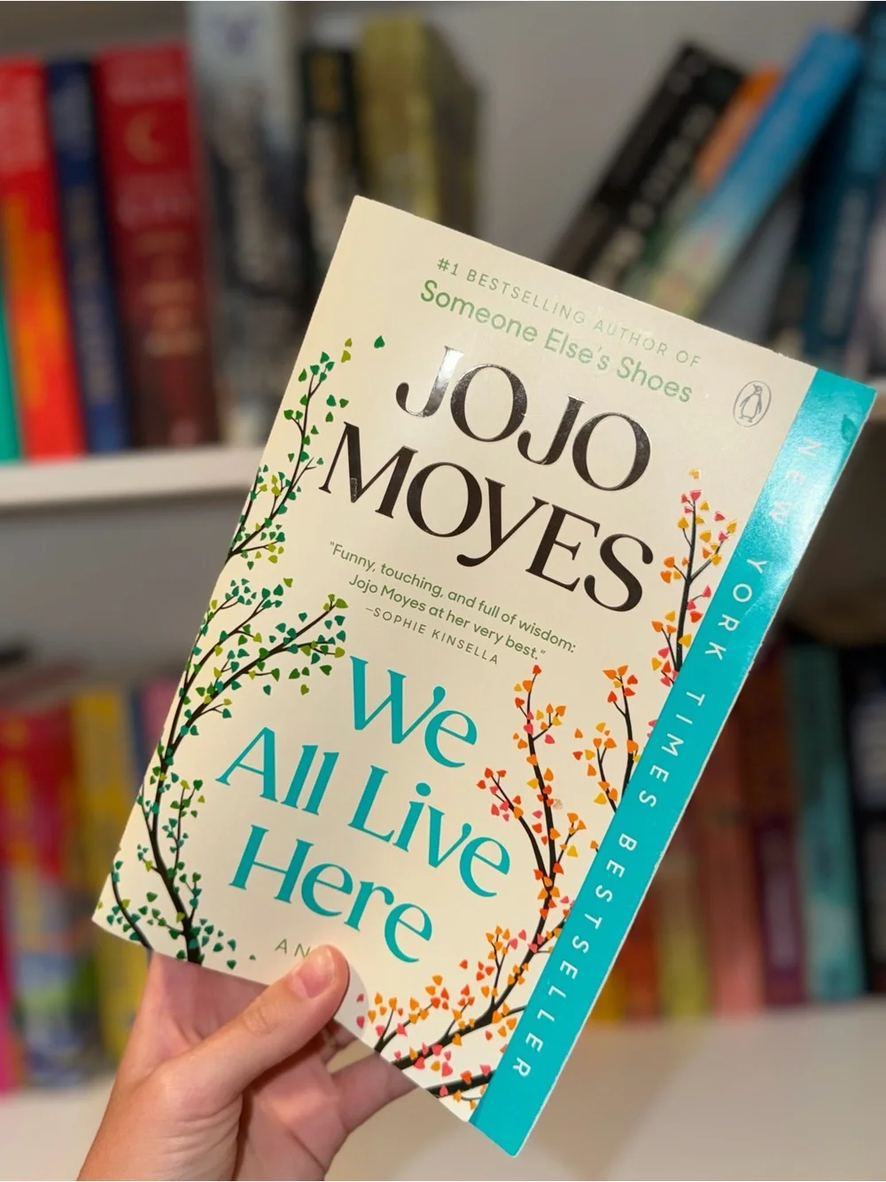 Fiction Book Lot - Kristin Hannah & Jojo Moyes